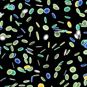 돌직구벳 도메인: 최신 접속 주소와 안전한 이용법 완벽 정리